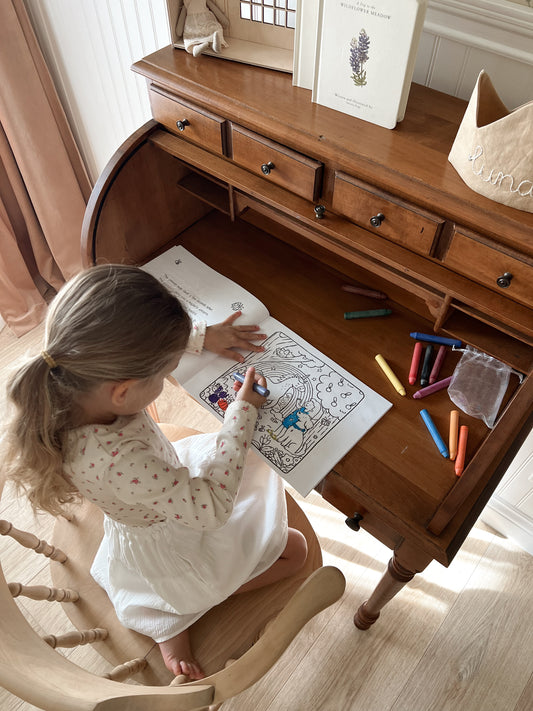 PREORDER - Maddy & Apollo's Magical Dinosaur Adventure Coloring Book